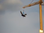 Обложка альбома: Deutsch-Französische Volksfest in Berlin