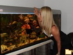 Titelbild des Albums: freunde