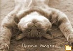 Обложка альбома: My Photo album