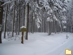 Обложка альбома: Зима