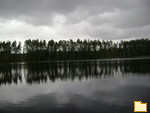 Titelbild des Albums: foto