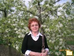 Titelbild des Albums: My Photo album