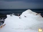 Обложка альбома: Зимнее море