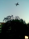 Обложка альбома: Himmel über Berlin