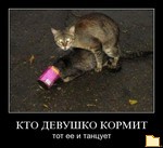Обложка альбома: Котэ