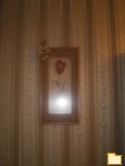 Обложка альбома: Mein Haus. Meine Blumen