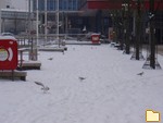 Обложка альбома: Зимний Киль