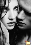 Titelbild des Albums: ...