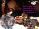Обложка альбома: Мы помогаем русским животным!