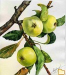 Обложка альбома: КАРТИНЫ