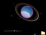 Titelbild des Albums: Orion